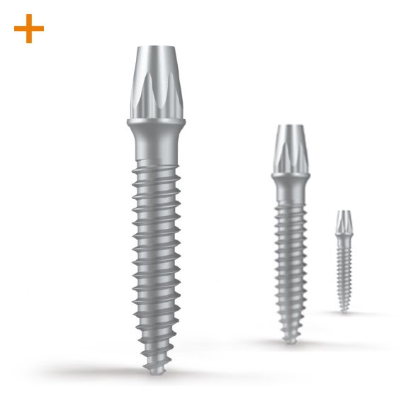 Foto von BoneTrust® mini (6er Set)