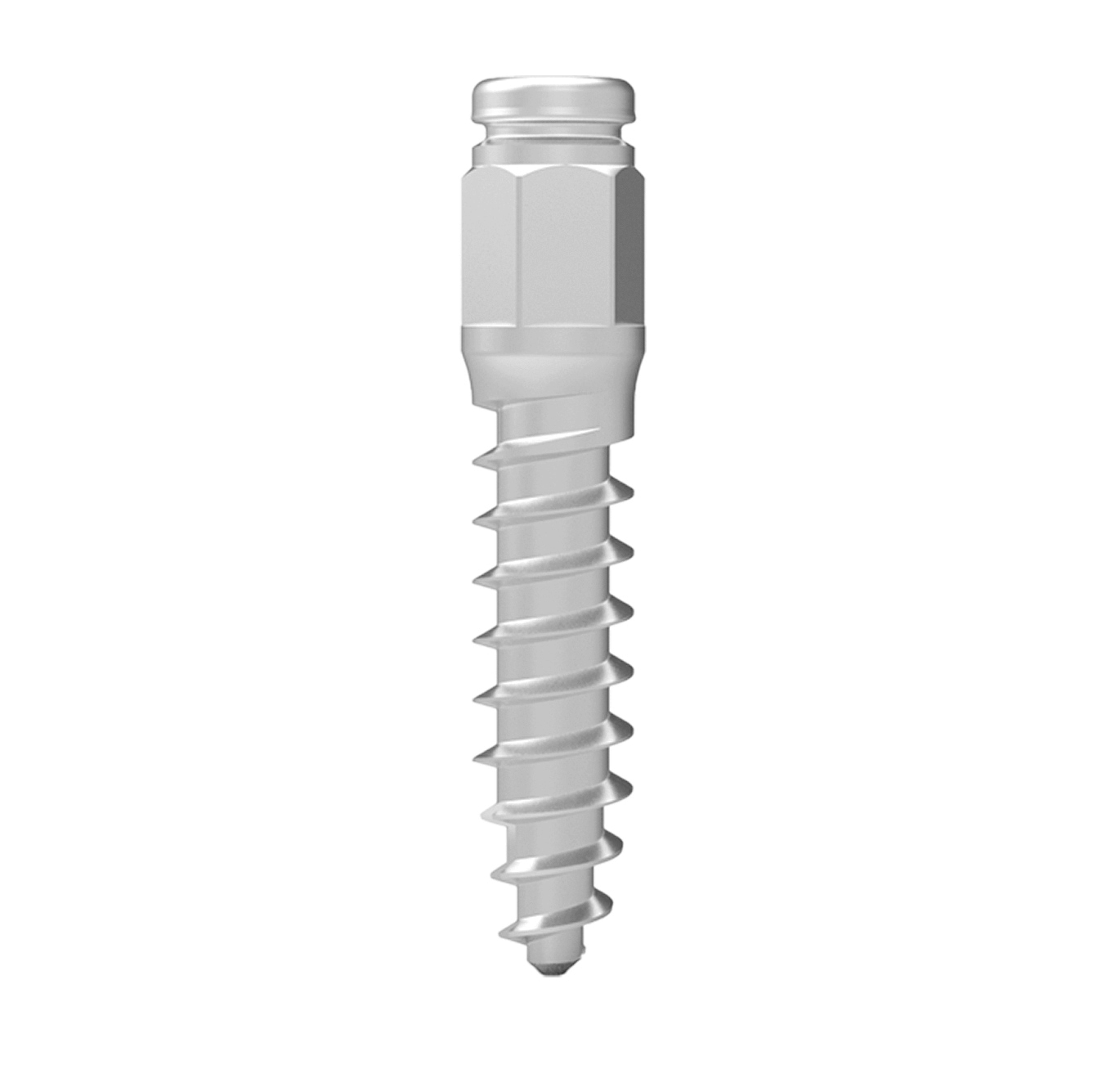 Foto von Interim Implantat