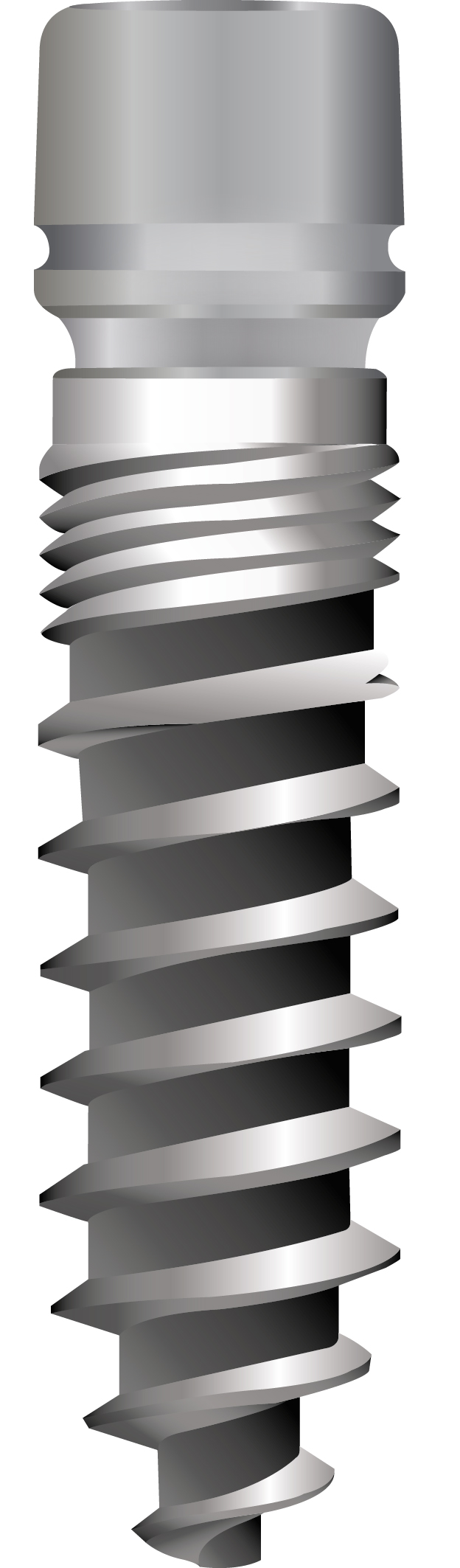 Champions (R)Evolution 2-teiliges Implantatsystem