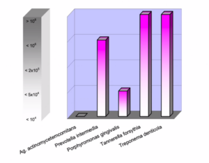 Bakterientest Markerkeime Ergebnisse Bakterientest Markerkeime Ergebnisse