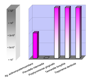 Nachweis Parodontitis-Markerkeime