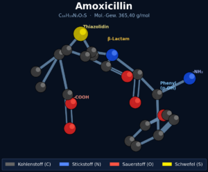 Amoxicillin Wirkstoff Molekül