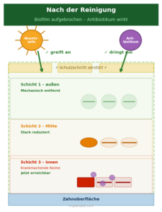 Antibiotikawirkung nach Auflösen des Bioflims