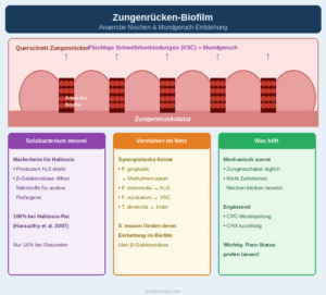 Halitosis (Mundgeruch) durch Biofilm der Zunge