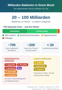 Mundflora: gute und böse Keime