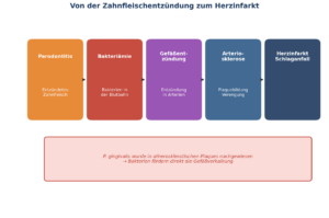 Parodontitisbakterien und Herzerkrankungen