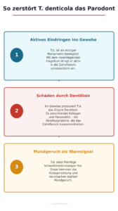 treponema denticola Dentilisin Parodontitis
